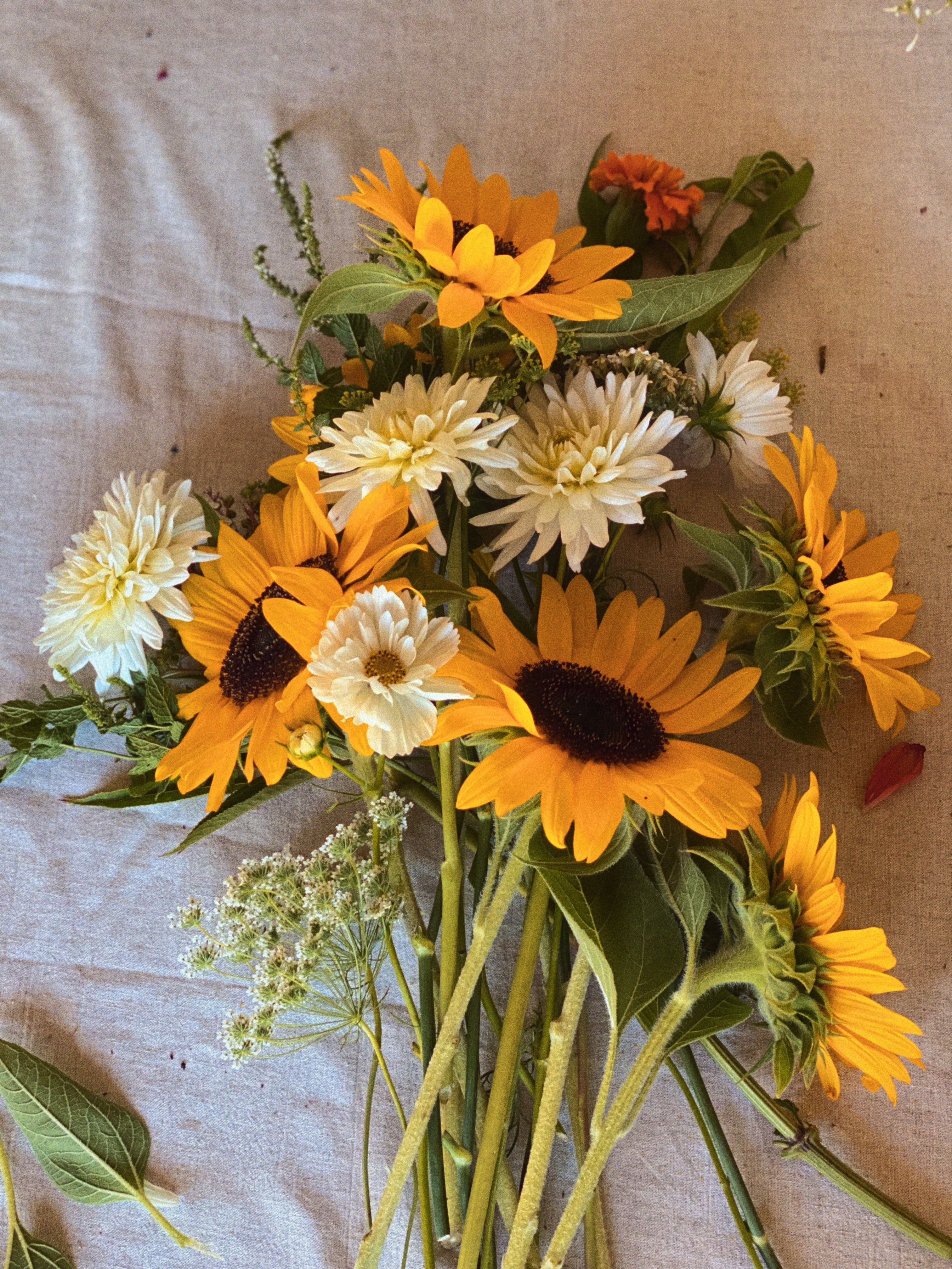 Suscripción floral