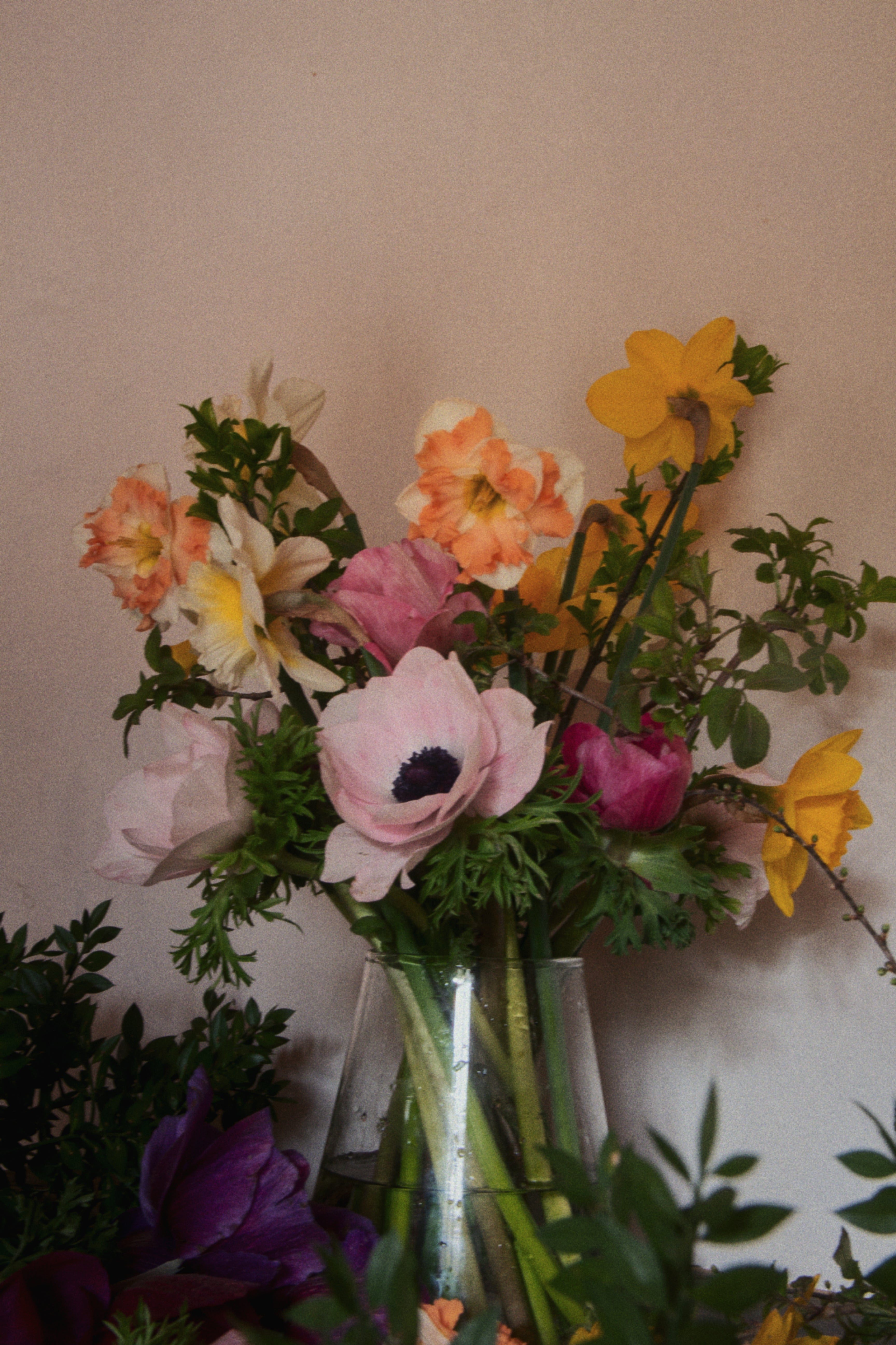 Suscripción floral