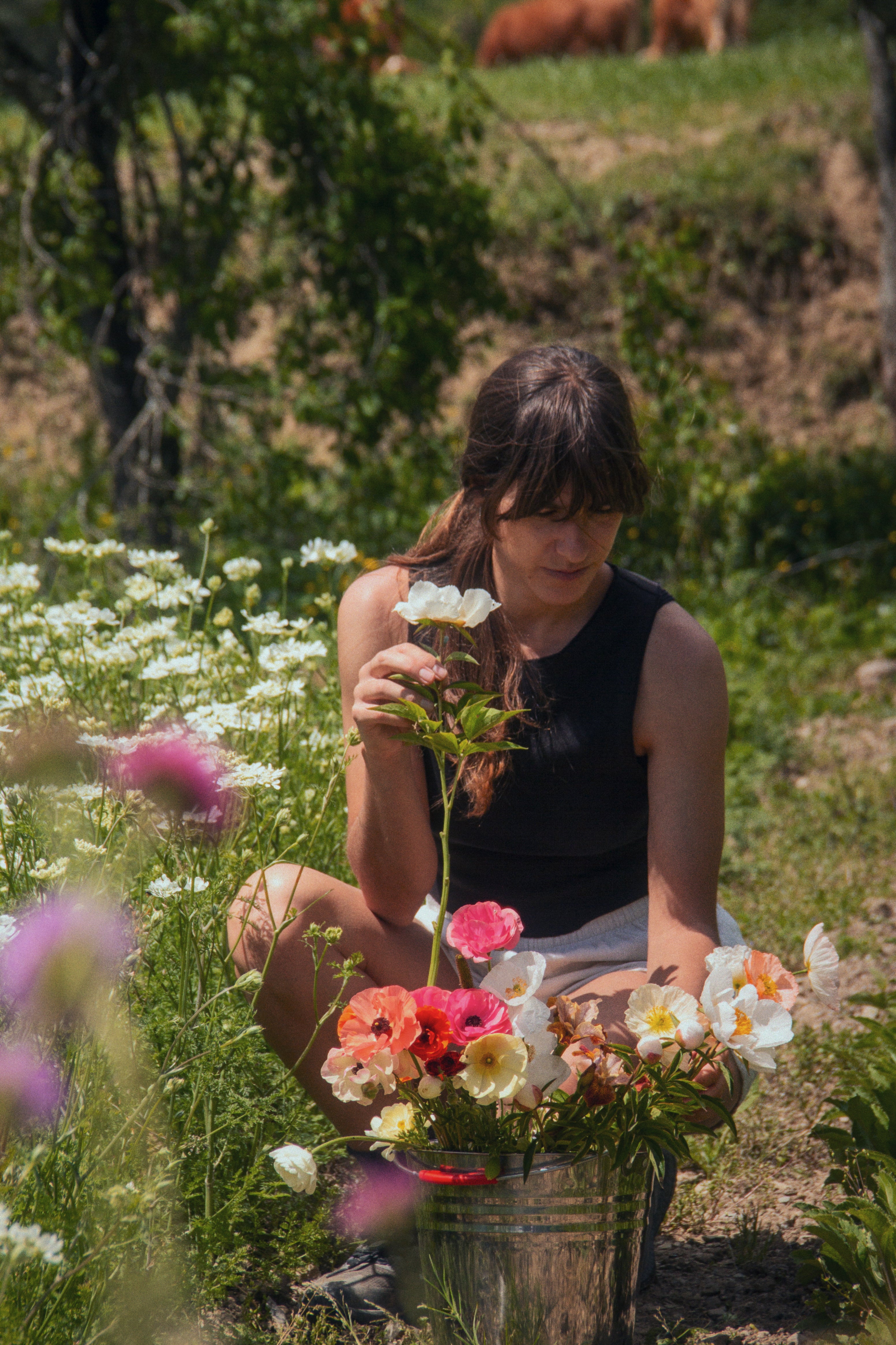 24-25-26 Julio - Diseño floral naturalista y sostenible