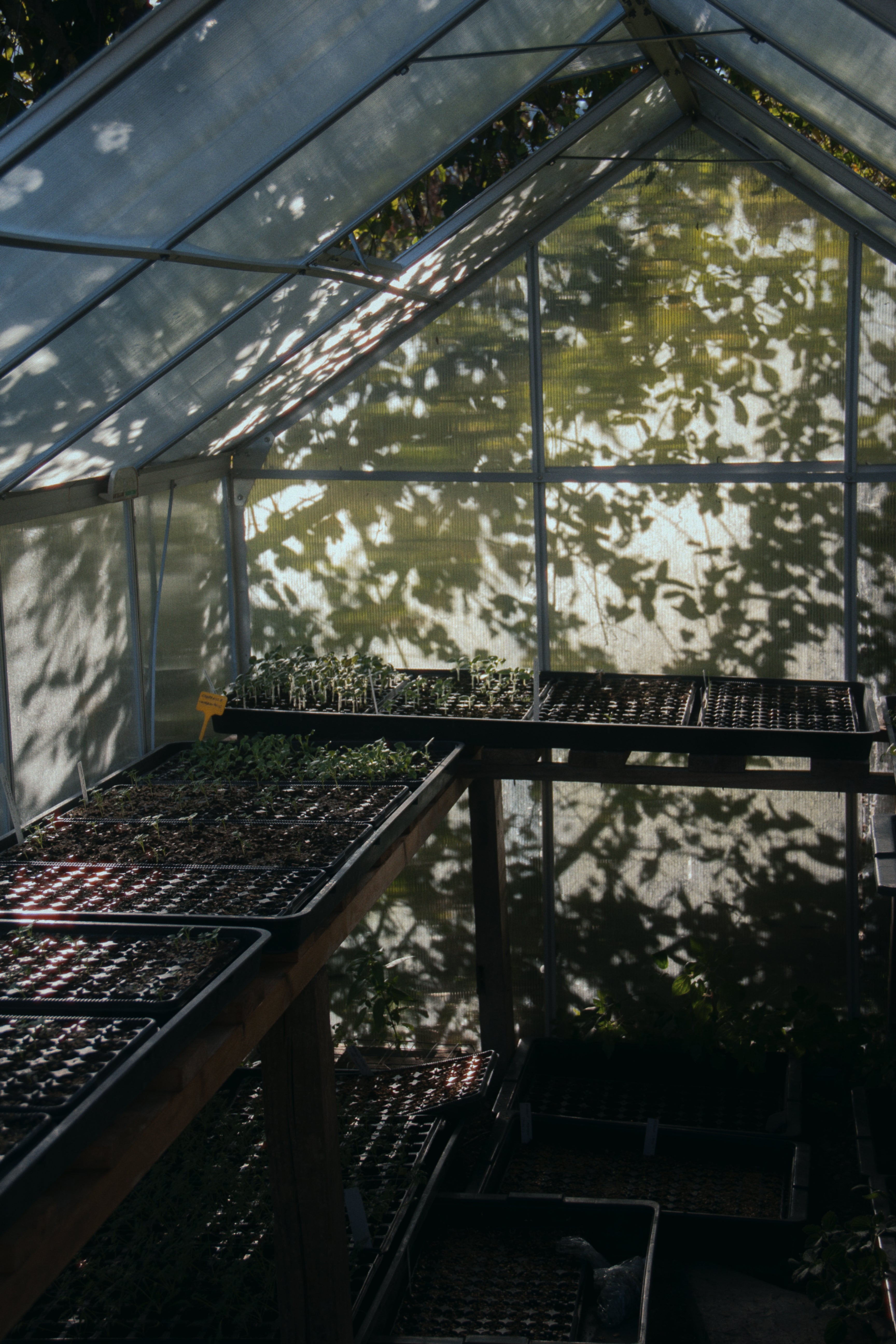 12-14 Junio - Introducción al cultivo de flores