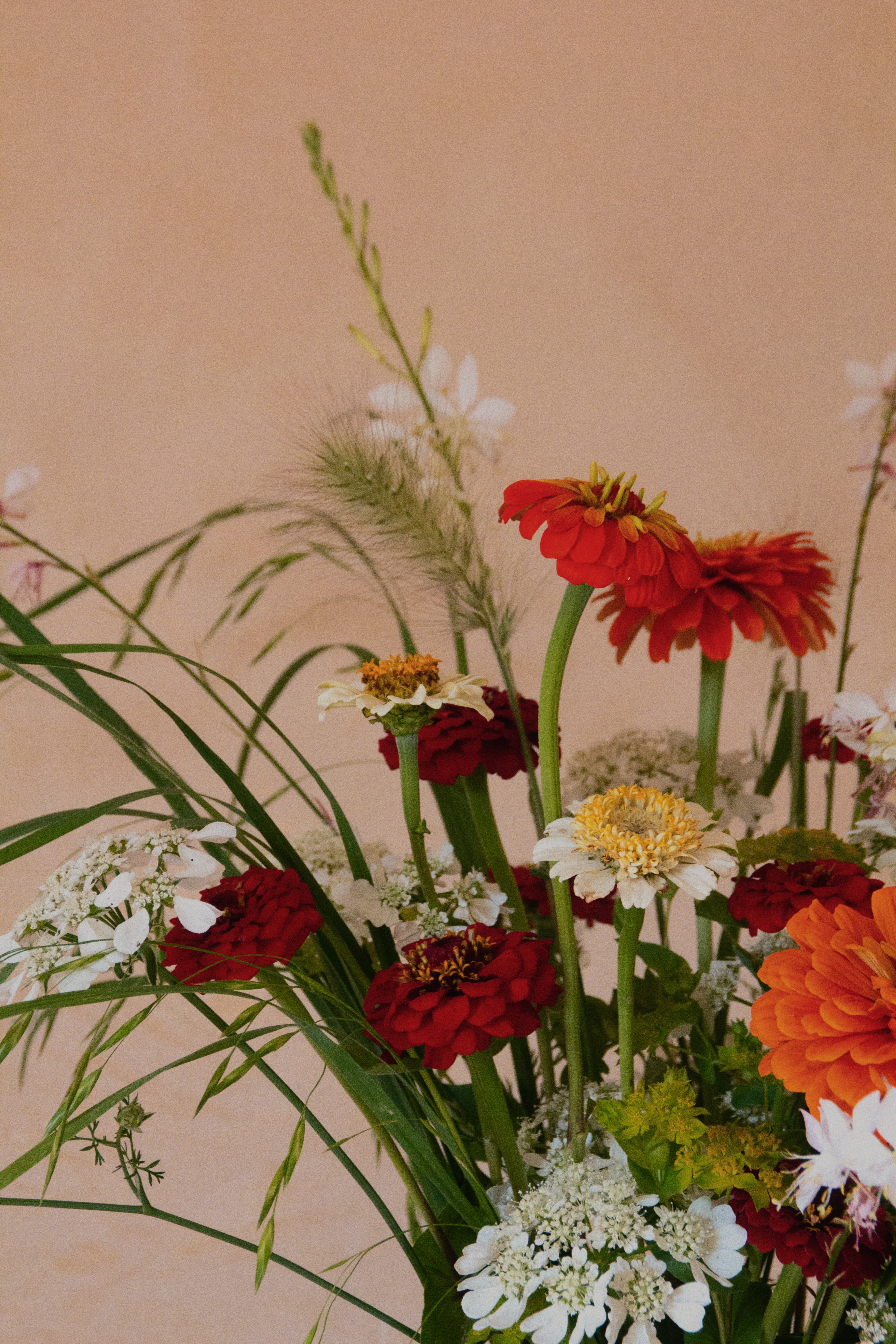Suscripción floral