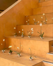Mesa Banquete